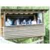 Rueckershausen 06 2012 155.JPG